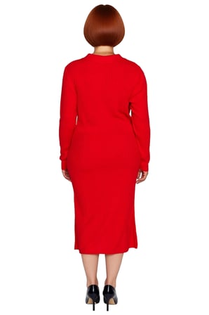Kadın Polo Yaka Fitilli Bodycon Triko Midi Elbise Uzun Kollu Kış Günlük Şık Akrilik Tasarım