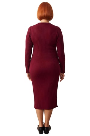 Kadın Polo Yaka Fitilli Bodycon Triko Midi Elbise Uzun Kollu Kış Günlük Şık Akrilik Tasarım