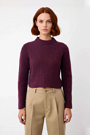 Kadın Regular Fit Crop Fitilli Bisiklet Yaka Uzun Kollu Orta Kalın Triko Kazak Kışlık Kombinlerin