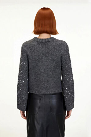 Kadın Regular Kalıp Crop Pul Payetli Bisiklet Yaka Uzun Standart Kol Orta Kalın Triko Kazak