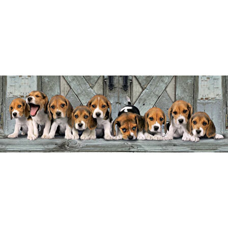 Clementoni Beagles 1000 Parça Sevimli Köpek Yavruları High Quality Collection Yetişkin Puzzle