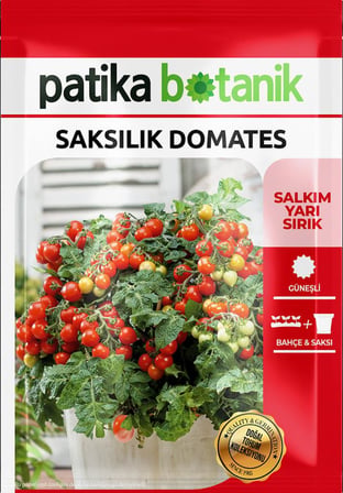 100 Adet Saksılık Domates Tohumu