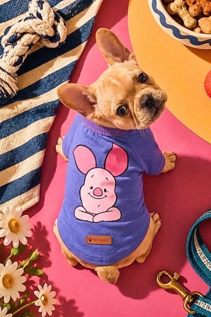 Köpek Tişörtü, Pamuklu Penye Kumaş, Küçük ve Orta Irklar İçin İdeal Piglet Baskılı Köpek Tişörtü