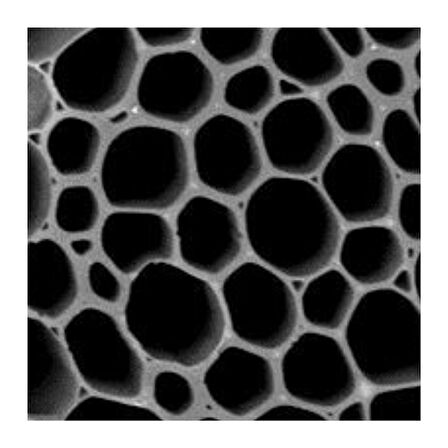 PreChar Meşe Odunu Bazlı Karbon Toprak Düzenleyici 1L Biochar 3mm ve Altı