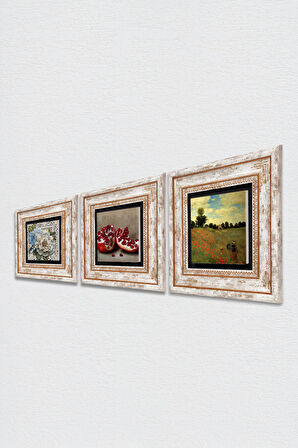 Claude Monet Gelincikler, Kelebekli Çiçek, Nar Taş Duvar Tablosu Çerçeveli Duvar Dekoru 3 Parça Tablo Seti Wall Art