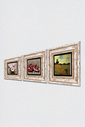 Claude Monet Gelincikler, Kelebekli Çiçek, Nar Taş Duvar Tablosu Çerçeveli Duvar Dekoru 3 Parça Tablo Seti Wall Art