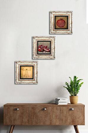 Bereket Duası, Nar, Vitruvius Taş Duvar Tablosu Çerçeveli Duvar Dekoru 3 Parça Tablo Seti Wall Art