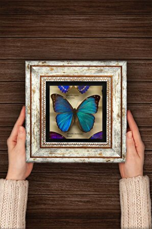 Kelebek Taş Duvar Tablosu Çerçeveli Duvar Dekoru Wall Art