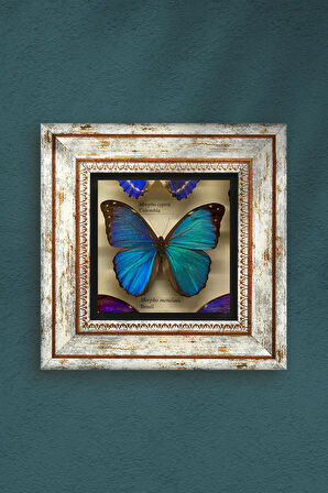 Kelebek Taş Duvar Tablosu Çerçeveli Duvar Dekoru Wall Art