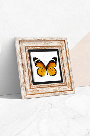Kelebek Taş Duvar Tablosu Çerçeveli Duvar Dekoru Wall Art
