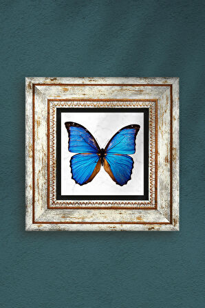 Kelebek Taş Duvar Tablosu Çerçeveli Duvar Dekoru Wall Art