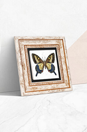 Kelebek Taş Duvar Tablosu Çerçeveli Duvar Dekoru Wall Art