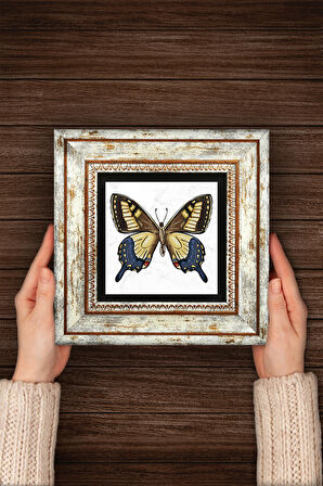 Kelebek Taş Duvar Tablosu Çerçeveli Duvar Dekoru Wall Art