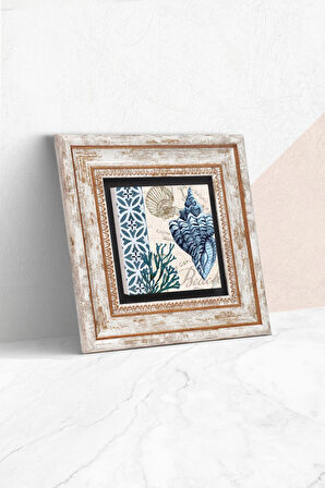 Deniz Kabuğu Taş Duvar Tablosu Çerçeveli Duvar Dekoru Wall Art