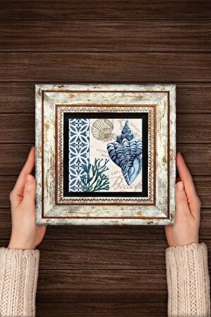 Deniz Kabuğu Taş Duvar Tablosu Çerçeveli Duvar Dekoru Wall Art