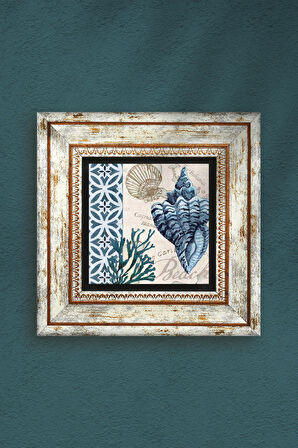 Deniz Kabuğu Taş Duvar Tablosu Çerçeveli Duvar Dekoru Wall Art