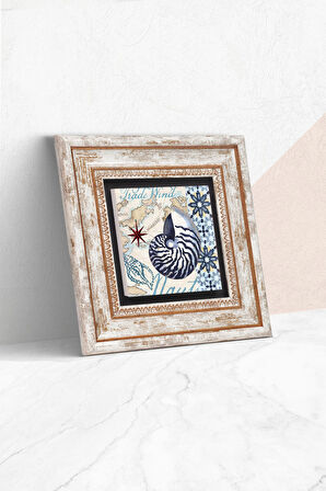 Deniz Kabuğu Taş Duvar Tablosu Çerçeveli Duvar Dekoru Wall Art