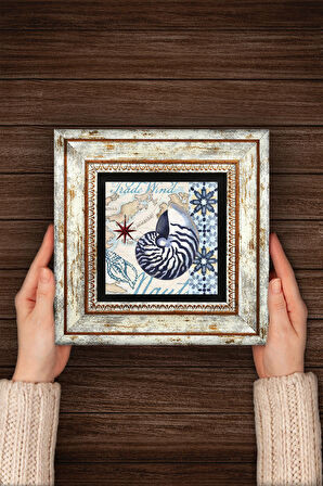 Deniz Kabuğu Taş Duvar Tablosu Çerçeveli Duvar Dekoru Wall Art