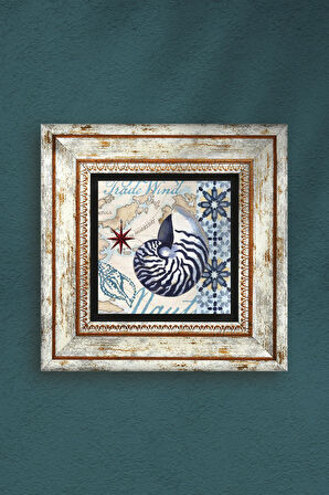 Deniz Kabuğu Taş Duvar Tablosu Çerçeveli Duvar Dekoru Wall Art