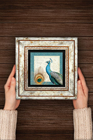 Tavus Kuşu Taş Duvar Tablosu Çerçeveli Duvar Dekoru Wall Art