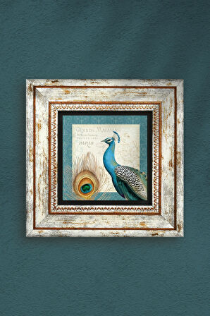 Tavus Kuşu Taş Duvar Tablosu Çerçeveli Duvar Dekoru Wall Art