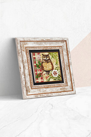 Baykuş Taş Duvar Tablosu Çerçeveli Duvar Dekoru Wall Art