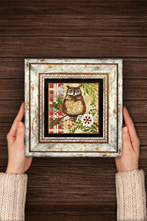 Baykuş Taş Duvar Tablosu Çerçeveli Duvar Dekoru Wall Art