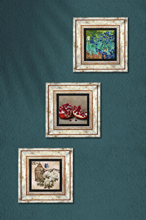 Van Gogh İrisler, Kelebekli Çiçek, Nar Taş Duvar Tablosu Çerçeveli Duvar Dekoru 3 Parça Tablo Seti Wall Art