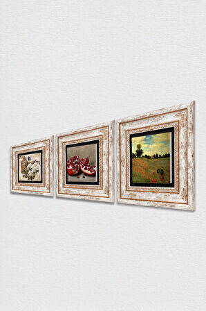Claude Monet Gelincikler, Kelebekli Çiçek, Nar Taş Duvar Tablosu Çerçeveli Duvar Dekoru 3 Parça Tablo Seti Wall Art