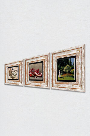 Claude Monet Bahçedeki Kadın, Kelebekli Çiçek, Nar Taş Duvar Tablosu Çerçeveli Duvar Dekoru 3 Parça Tablo Seti Wall Art