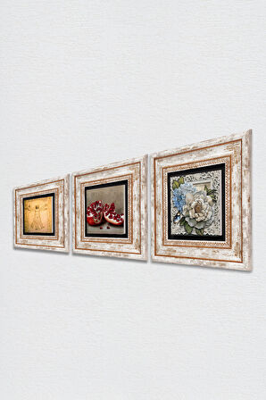 Leonardo da Vinci Vitruvius Adamı, Kelebekli Çiçek, Nar Taş Duvar Tablosu Çerçeveli Duvar Dekoru 3 Parça Tablo Seti Wall Art