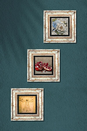 Leonardo da Vinci Vitruvius Adamı, Kelebekli Çiçek, Nar Taş Duvar Tablosu Çerçeveli Duvar Dekoru 3 Parça Tablo Seti Wall Art