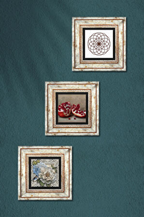 Yaşam Çiçeği, Kelebekli Çiçek, Nar Taş Duvar Tablosu Çerçeveli Duvar Dekoru 3 Parça Tablo Seti Wall Art
