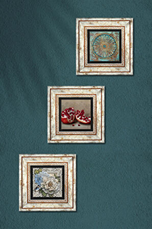Yaşam Çiçeği, Kelebekli Çiçek, Nar Taş Duvar Tablosu Çerçeveli Duvar Dekoru 3 Parça Tablo Seti Wall Art