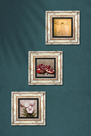 Leonardo da Vinci Vitruvius Adamı, Kelebekli Çiçek, Nar Taş Duvar Tablosu Çerçeveli Duvar Dekoru 3 Parça Tablo Seti Wall Art