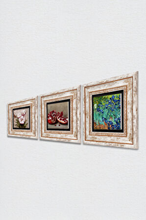 Van Gogh İrisler, Kelebekli Çiçek, Nar Taş Duvar Tablosu Çerçeveli Duvar Dekoru 3 Parça Tablo Seti Wall Art