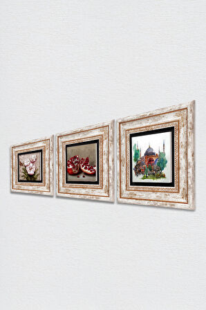 İstanbul Ayasofya, Kelebekli Çiçek, Nar Taş Duvar Tablosu Çerçeveli Duvar Dekoru 3 Parça Tablo Seti Wall Art