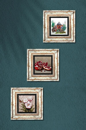 İstanbul Ayasofya, Kelebekli Çiçek, Nar Taş Duvar Tablosu Çerçeveli Duvar Dekoru 3 Parça Tablo Seti Wall Art