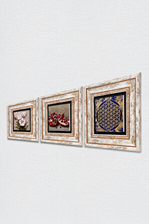 Yaşam Çiçeği, Kelebekli Çiçek, Nar Taş Duvar Tablosu Çerçeveli Duvar Dekoru 3 Parça Tablo Seti Wall Art
