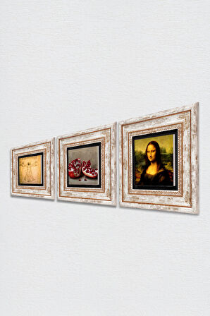 Leonardo da Vinci Mona Lisa, Vitruvius Adamı, Nar Taş Duvar Tablosu Çerçeveli Duvar Dekoru 3 Parça Tablo Seti Wall Art