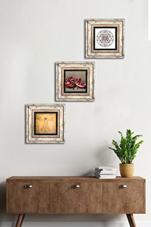 Sri Yantra, Leonardo da Vinci Vitruvius Adamı, Nar Taş Duvar Tablosu Çerçeveli Duvar Dekoru 3 Parça Tablo Seti Wall Art