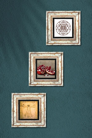 Sri Yantra, Leonardo da Vinci Vitruvius Adamı, Nar Taş Duvar Tablosu Çerçeveli Duvar Dekoru 3 Parça Tablo Seti Wall Art