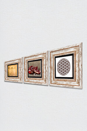 Yaşam Çiçeği, Leonardo da Vinci Vitruvius Adamı, Nar Taş Duvar Tablosu Çerçeveli Duvar Dekoru 3 Parça Tablo Seti Wall Art