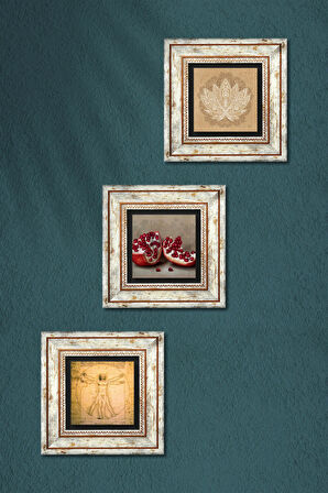 Lotus Çiçeği, Leonardo da Vinci Vitruvius Adamı, Nar Taş Duvar Tablosu Çerçeveli Duvar Dekoru 3 Parça Tablo Seti Wall Art