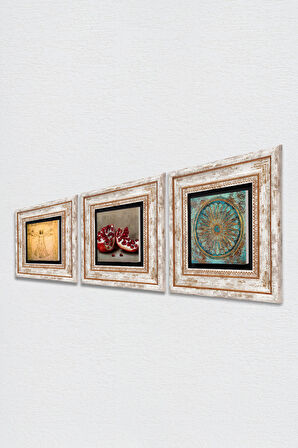 Yaşam Çiçeği, Leonardo da Vinci Vitruvius Adamı, Nar Taş Duvar Tablosu Çerçeveli Duvar Dekoru 3 Parça Tablo Seti Wall Art