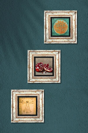 Lotus Çiçeği, Leonardo da Vinci Vitruvius Adamı, Nar Taş Duvar Tablosu Çerçeveli Duvar Dekoru 3 Parça Tablo Seti Wall Art