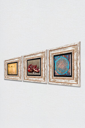 Yaşam Çiçeği, Leonardo da Vinci Vitruvius Adamı, Nar Taş Duvar Tablosu Çerçeveli Duvar Dekoru 3 Parça Tablo Seti Wall Art