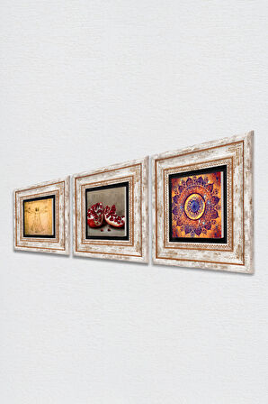 Mandala, Leonardo da Vinci Vitruvius Adamı, Nar Taş Duvar Tablosu Çerçeveli Duvar Dekoru 3 Parça Tablo Seti Wall Art