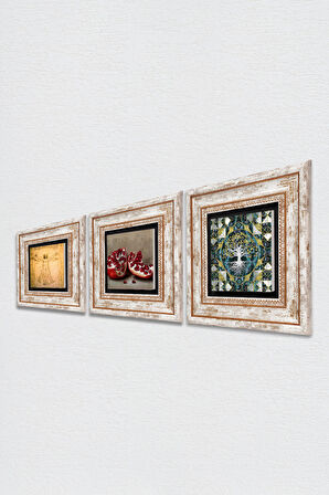 Hayat Ağacı, Leonardo da Vinci Vitruvius Adamı, Nar Taş Duvar Tablosu Çerçeveli Duvar Dekoru 3 Parça Tablo Seti Wall Art