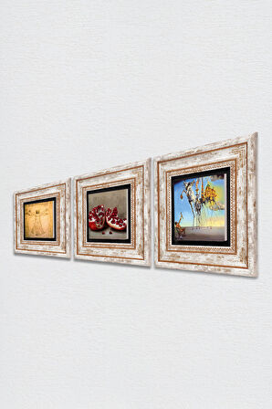Salvador Dalí, Leonardo da Vinci, Nar Taş Duvar Tablosu Çerçeveli Duvar Dekoru 3 Parça Tablo Seti Wall Art